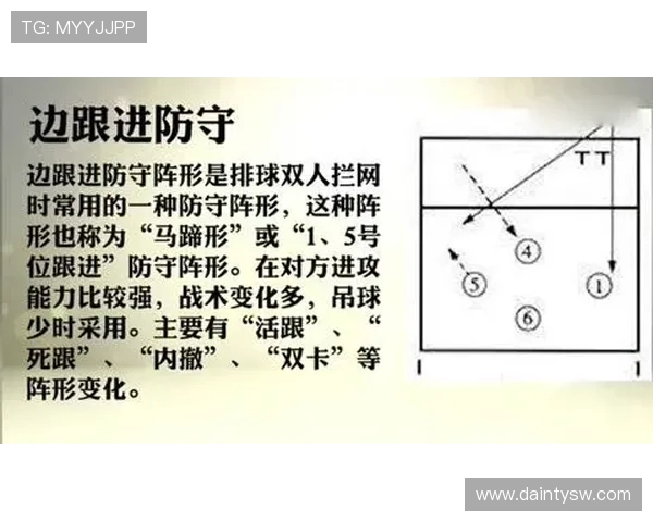 成都排球队防守体系解析与排球战术创新探讨
