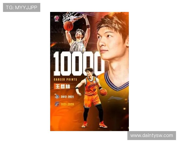 王哲林在CBA赛场的崛起与挑战分析以及未来发展潜力展望