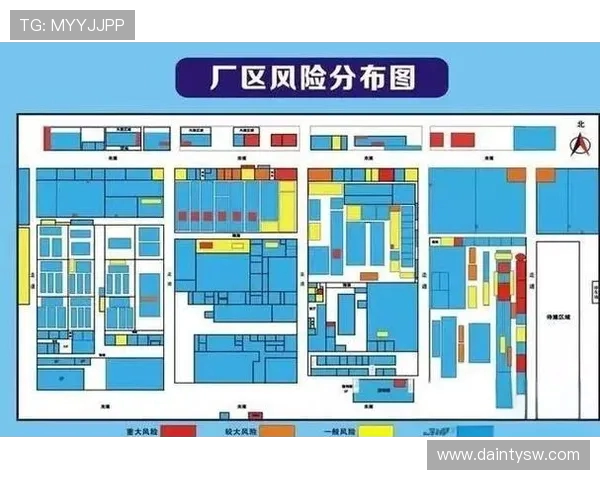 南京排球队近期状态分析与表现评估的全面研究报告