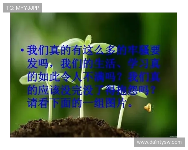 张强的羽毛球人生深度对话探索他背后的坚持与梦想