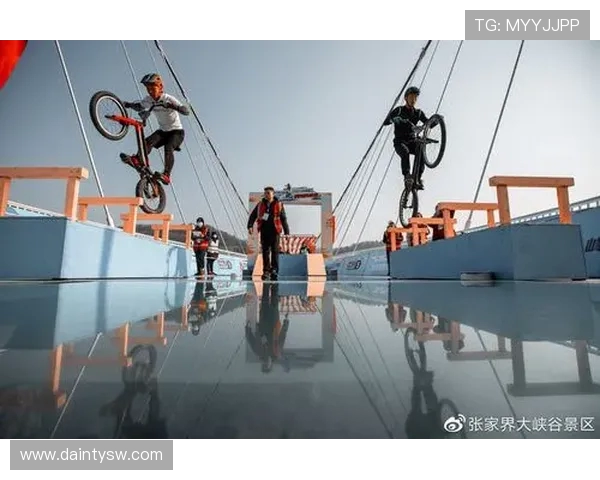 上海极限运动队在极限运动联赛中的战术表现深度分析与点评